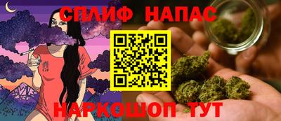 прущие грибы Ликино-Дулёво