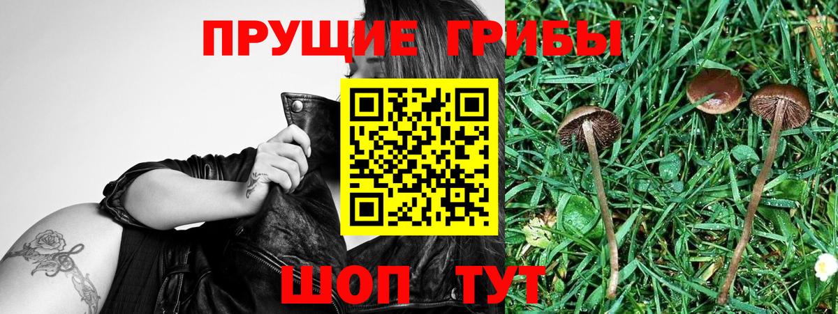 Галлюциногенные грибы MAGIC MUSHROOMS  Вход с VPN  где найти   Ирбит 